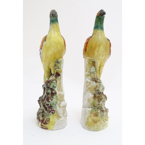 91 - A pair of Staffordshire pheasant birds on naturalistic bases. Approx. 13