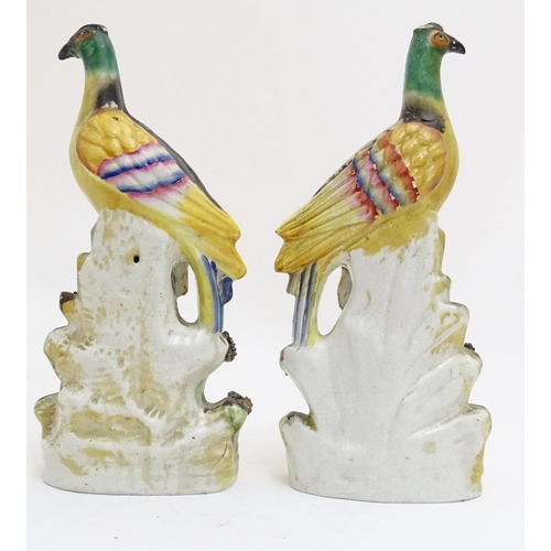 91 - A pair of Staffordshire pheasant birds on naturalistic bases. Approx. 13