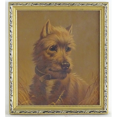 1715 - XIX-XX, Over-painted print, A portrait of a terrier dog. Facsimile signed Simon lower. Approx. 9