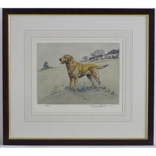 1730 - Henry Wilkinson (1921-2011), Limited edition coloured etching, no. 149/250, A gun dog in a landscape... 