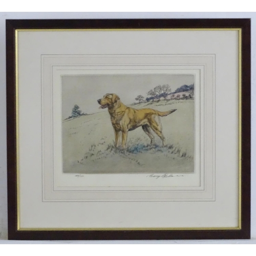 1730 - Henry Wilkinson (1921-2011), Limited edition coloured etching, no. 149/250, A gun dog in a landscape... 