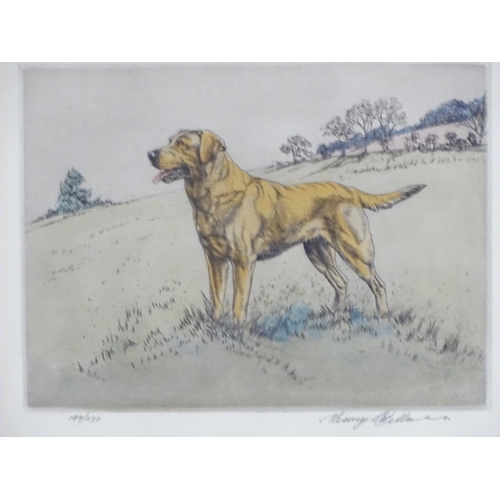 1730 - Henry Wilkinson (1921-2011), Limited edition coloured etching, no. 149/250, A gun dog in a landscape... 