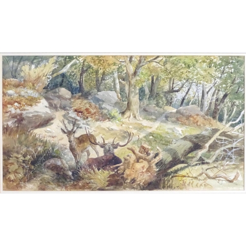 1672 - Indistinctly signed, XIX, Watercolour, A woodland landscape with stags. Signed and dated 1863 lower ... 