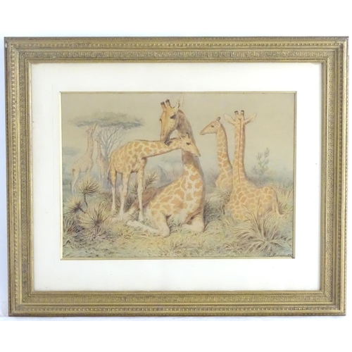 1675 - Heinrich Leutemann (1824-1905), German School, Watercolour, Giraffes in a landscape. Signed and date... 