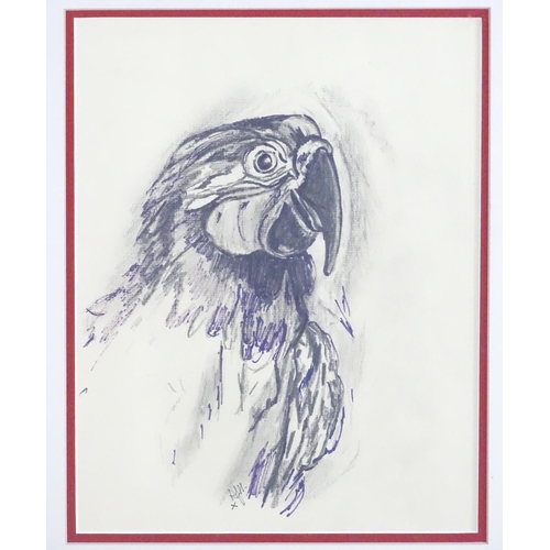 1697 - Monogrammed A J H, XX, Charcoal and ink on paper, A study of the head of a parrot. Signed lower midd... 