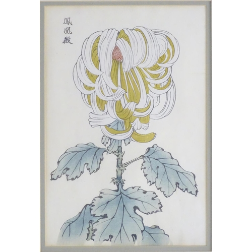 1722 - Keika Hasegawa, XIX, Four Japanese colour woodblocks, Chrysanthemum Flowers, from the series One hun... 