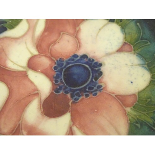 131 - A 20thC Moorcroft circular dish decorated with an anemone flower on a blue ground. Marked under. App... 