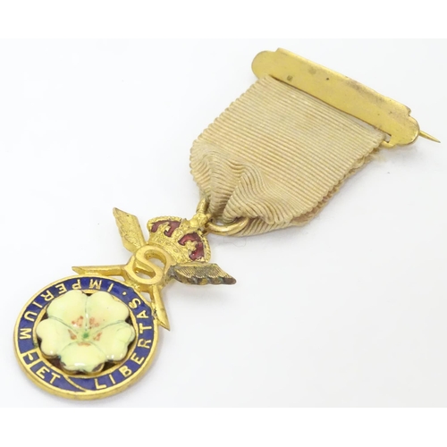 646 - Political badge / medal : A Primrose League gilt metal badge suspended from a ribbon with pin attach... 