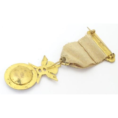 646 - Political badge / medal : A Primrose League gilt metal badge suspended from a ribbon with pin attach... 