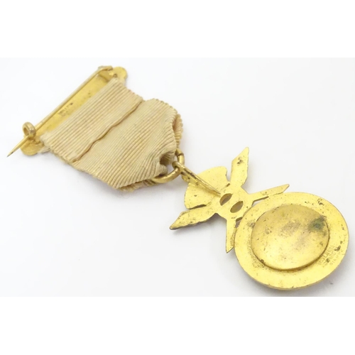 646 - Political badge / medal : A Primrose League gilt metal badge suspended from a ribbon with pin attach... 