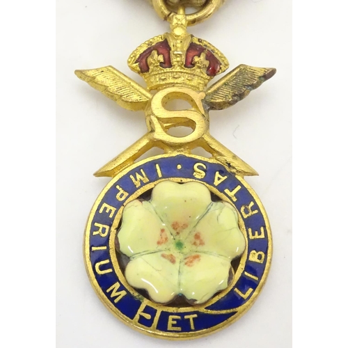 646 - Political badge / medal : A Primrose League gilt metal badge suspended from a ribbon with pin attach... 