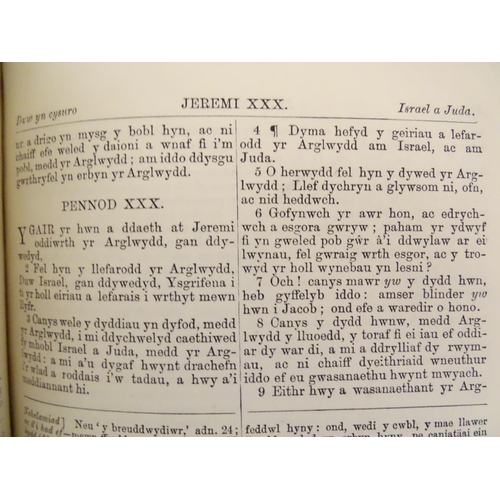 690 - Books: Deonglydd Berniadol, by John Jones,  c1890, Welsh language translations of the Old and New Te... 