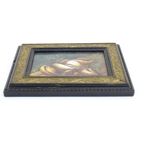 97 - A Derby porcelain plaque with a hand painted still life study of shells. Ascribed Hawton verso. Appr... 