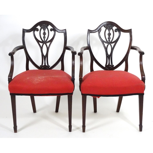 1556 - A pair of late 18thC mahogany Hepplewhite carver chairs with shield shaped backrests above pierced s... 