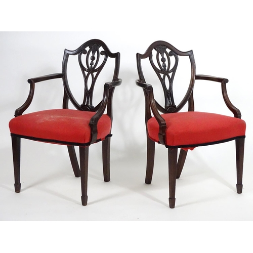 1556 - A pair of late 18thC mahogany Hepplewhite carver chairs with shield shaped backrests above pierced s... 