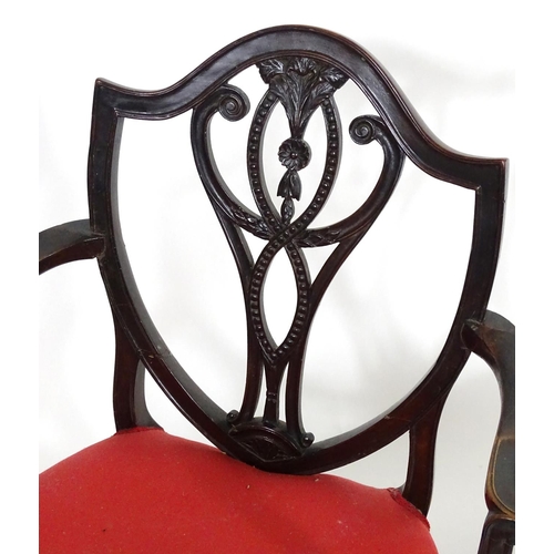 1556 - A pair of late 18thC mahogany Hepplewhite carver chairs with shield shaped backrests above pierced s... 