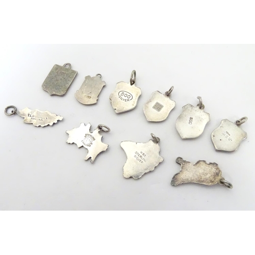 554 - Assorted silver and silver plate charms including 3 silver pendant charms with blue enamel decoratio... 