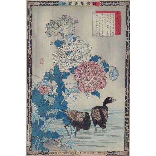 2454 - After Bairei Kono (1844-1895), Japanese School, Woodblock prints, Poppy and Moorhens, and Peony and ... 