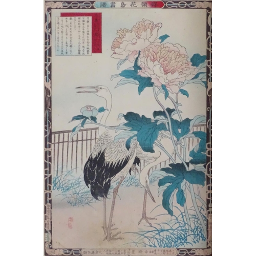 2454 - After Bairei Kono (1844-1895), Japanese School, Woodblock prints, Poppy and Moorhens, and Peony and ... 