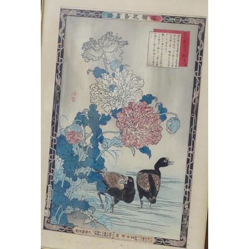 2454 - After Bairei Kono (1844-1895), Japanese School, Woodblock prints, Poppy and Moorhens, and Peony and ... 