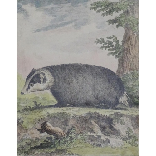 2419 - Five assorted animal engravings to include Le Blaireau (The Badger) engraved by Louis Le Grand after... 