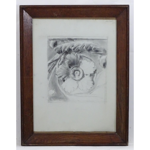 2444 - Nora Hooton, 19th century, Charcoal on paper, A study of an architectural rosette. Signed and dated ... 