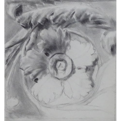 2444 - Nora Hooton, 19th century, Charcoal on paper, A study of an architectural rosette. Signed and dated ... 