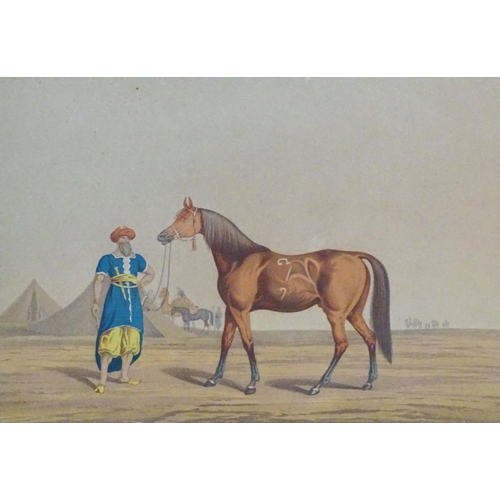 2440 - I. Clark after Henry Alken (1785-1851), 19th century, Engraving, The Arabian, A Turkish gentleman wi... 