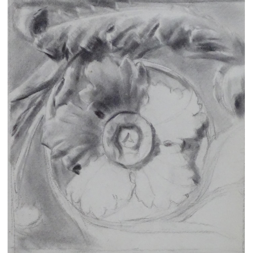 2444 - Nora Hooton, 19th century, Charcoal on paper, A study of an architectural rosette. Signed and dated ... 