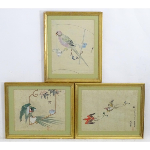 2467 - Oriental School, 20th century, Three hand coloured prints, Two exotic birds in flight, a parrot perc... 