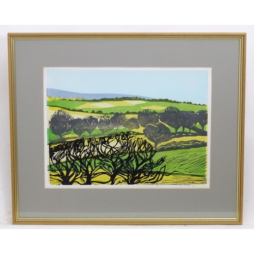 2479 - Pat Blake, 20th century, Limited edition silkscreen and linocut, no.3/5, Cole Hill landscape, A patc... 