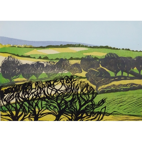 2479 - Pat Blake, 20th century, Limited edition silkscreen and linocut, no.3/5, Cole Hill landscape, A patc... 