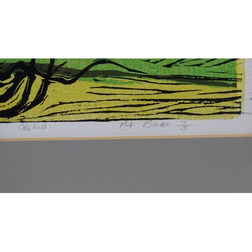 2479 - Pat Blake, 20th century, Limited edition silkscreen and linocut, no.3/5, Cole Hill landscape, A patc... 