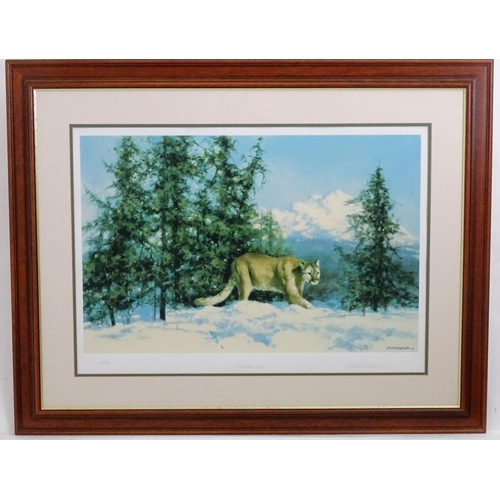 2490 - After David Shepherd (1931-2017), Limited edition print no. 65/350, Mountain Lion. Facsimile signatu... 