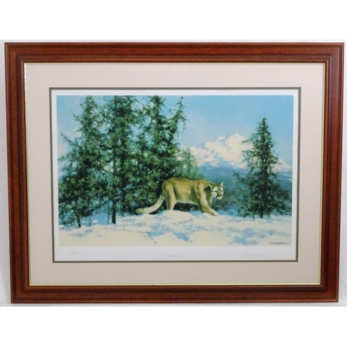 2490 - After David Shepherd (1931-2017), Limited edition print no. 65/350, Mountain Lion. Facsimile signatu... 