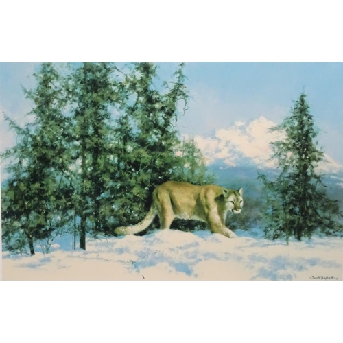 2490 - After David Shepherd (1931-2017), Limited edition print no. 65/350, Mountain Lion. Facsimile signatu... 