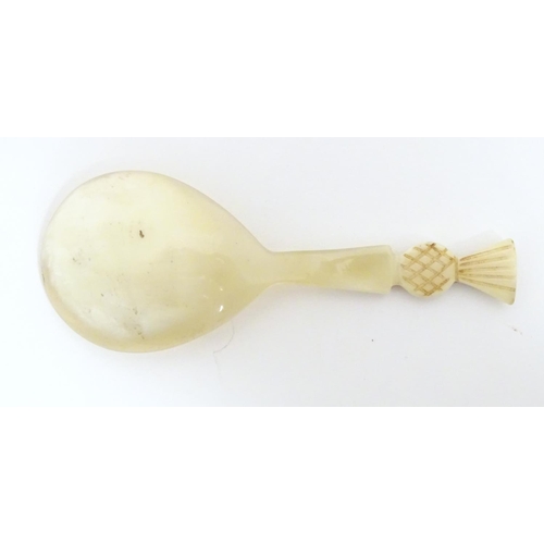 1237 - A 20thC horn caddy spoon with carved pineapple finial. Approx. 3 1/2