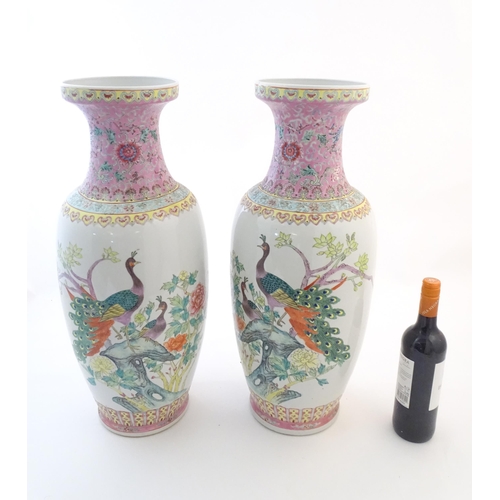 55 - A pair of large Chinese vases decorated with peacock birds in a tree, with banded detail and flowers... 