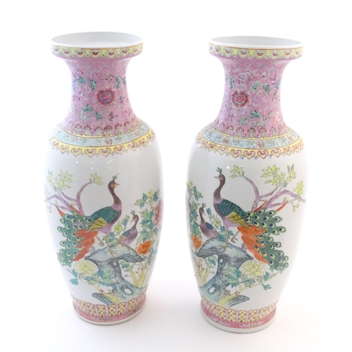 55 - A pair of large Chinese vases decorated with peacock birds in a tree, with banded detail and flowers... 