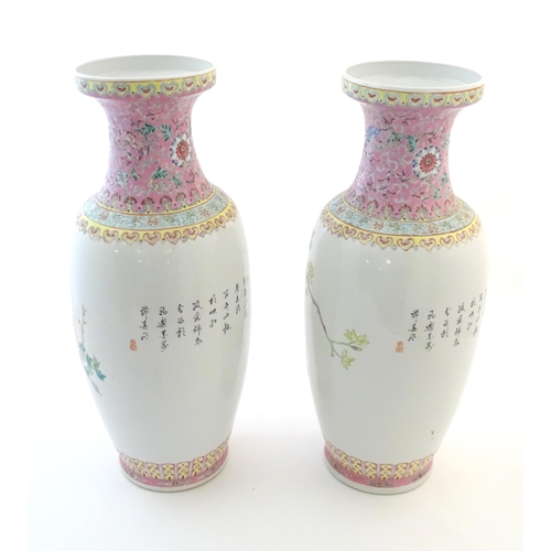 55 - A pair of large Chinese vases decorated with peacock birds in a tree, with banded detail and flowers... 