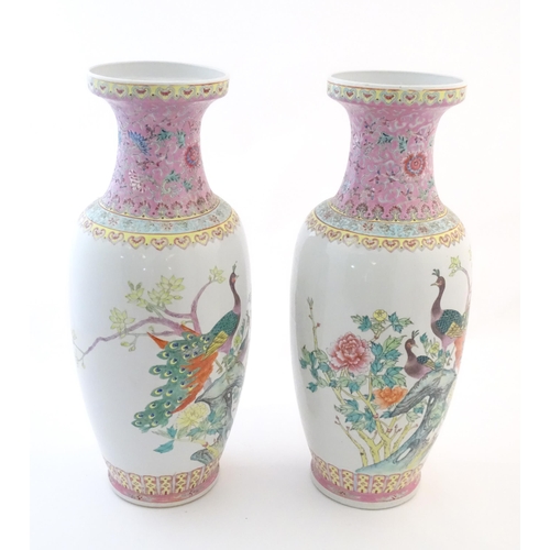 55 - A pair of large Chinese vases decorated with peacock birds in a tree, with banded detail and flowers... 