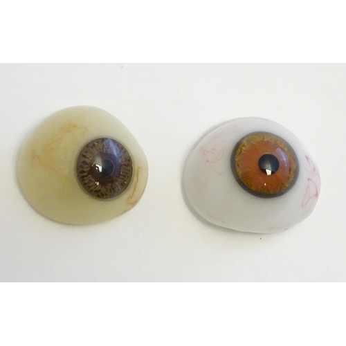 1295 - Two 19thC prosthetic glass human eyes with brown irises. Largest approx. 1