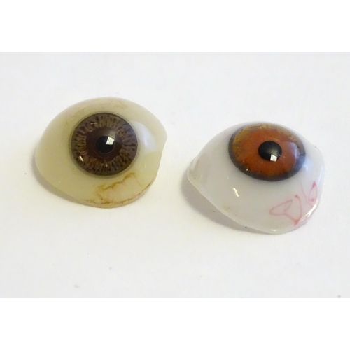 1295 - Two 19thC prosthetic glass human eyes with brown irises. Largest approx. 1