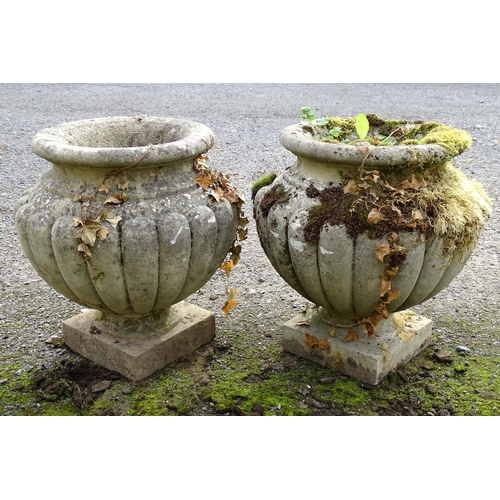 1590 - Garden & Architectural, Salvage: a pair of mid 20thC reconstituted stone urns, standing on squared b... 