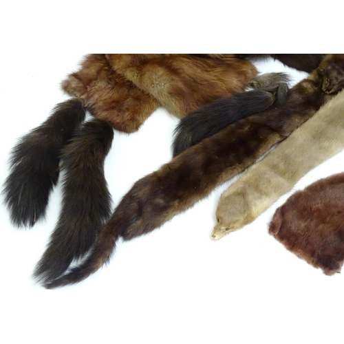 1552 - Vintage clothing / fashion: A quantity of vintage fur accessories to include a fur collar, 2 stoles ... 