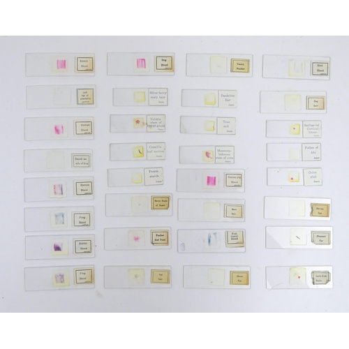 1259 - A 20thC educational microscope, together with quantity of blank slides, prepared slides and slide pr... 