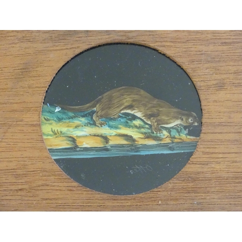 1259A - A quantity of Victorian hand painted magic lantern slides in wooden mounts depicting animals compris... 