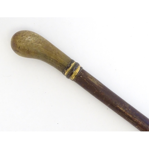 1470 - A 19thC walking cane / stick with horn handle. Approx. 35 1/4