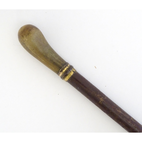 1470 - A 19thC walking cane / stick with horn handle. Approx. 35 1/4