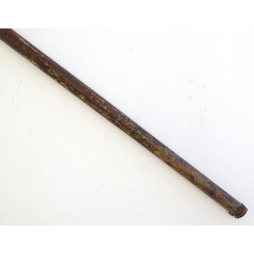 1470 - A 19thC walking cane / stick with horn handle. Approx. 35 1/4